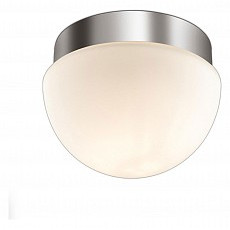 Накладной светильник odeon light minkar 2443-1a